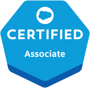 New Salesforce-Associate Test Voucher