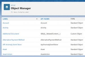 salesforce associate certification questions and answers Object Manager