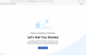 Connect Code Builder with Salesforce Org