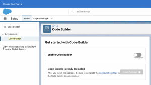 Code Builder in Salesforce setup