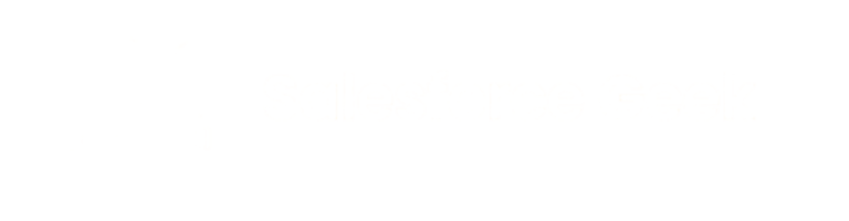 Introduction to Salesforce Flow Builder - Salesforce Geek