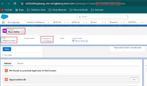 Record loaded by Load DataRaptor to the Contact object in Salesforce Org 