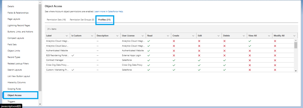 Salesforce Winter'25 Release: Object access