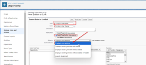 Lightning URL Hack in Salesforce