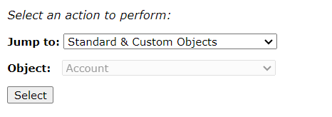 Standard & Custom object