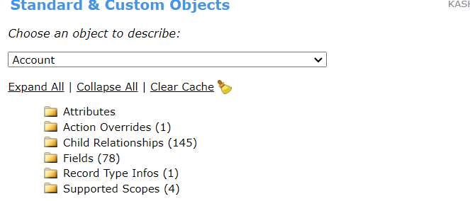 options in stan and custom