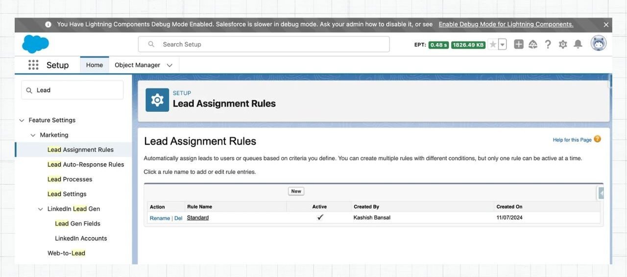 Lead Assignment