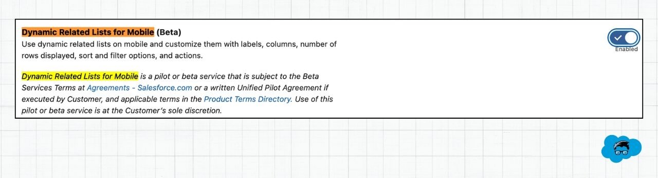 Salesforce Summer '25 Release Updates for Admins - Dynamic Related List for Mobile (BETA)