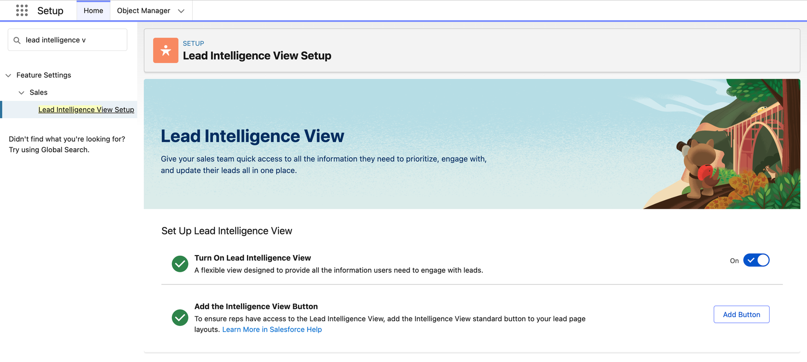 lead intelligence view setup