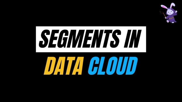 Segments in Salesforce Data Cloud - Salesforce Geek