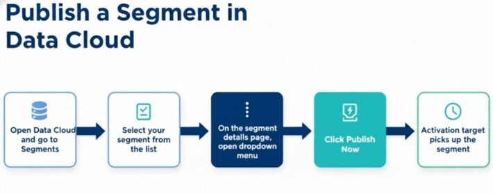 Segments in Salesforce Data Cloud - Salesforce Geek